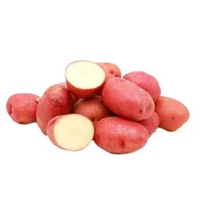 Small Red Potato