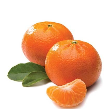 Orange  -(Imported)